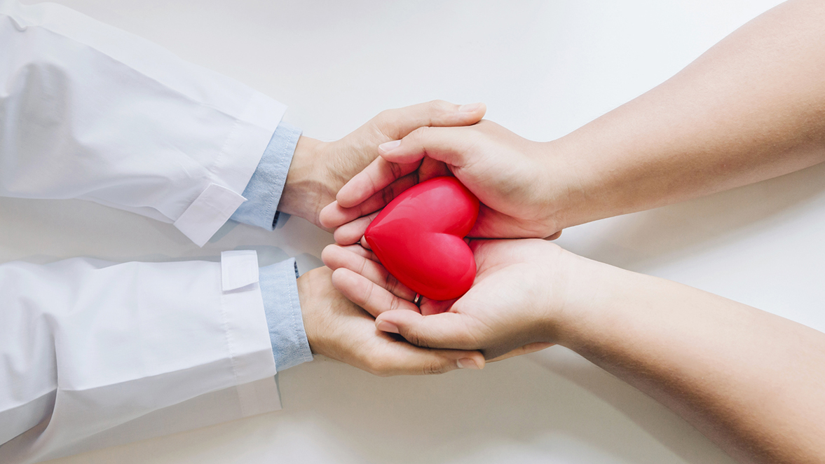 hands holding a heart